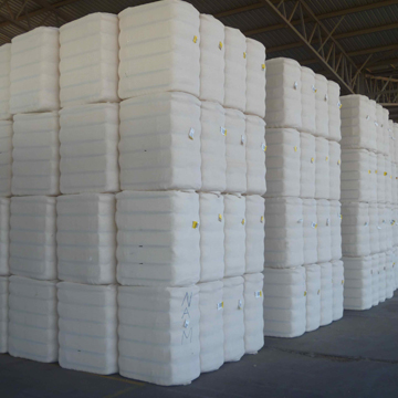 Cotton-Bale 1