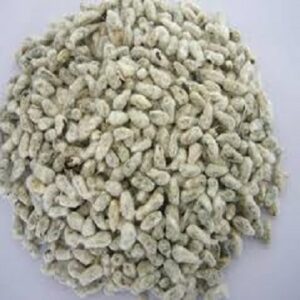 High-quality-and-low-price-cotton-seeds 3